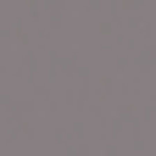 Watson Bowman Acme Elastomeric Seal for WSW-200 Wabo WeatherSeam Interior — WBAWSW200SGR