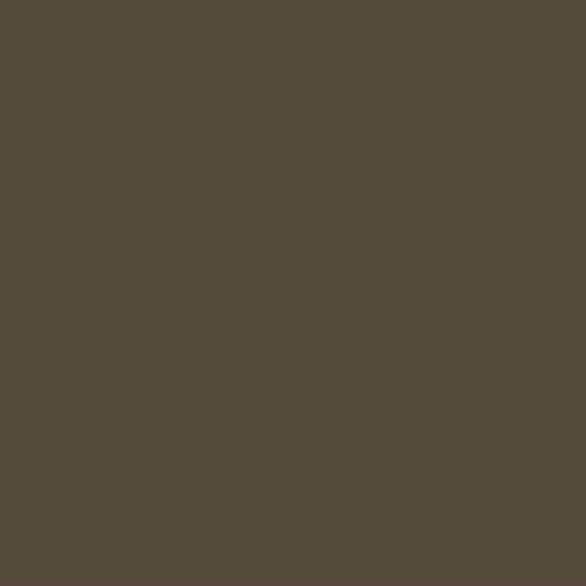 CMG 26 Gauge 2" x 4" Gutter Apron — CMGGA2624MZ