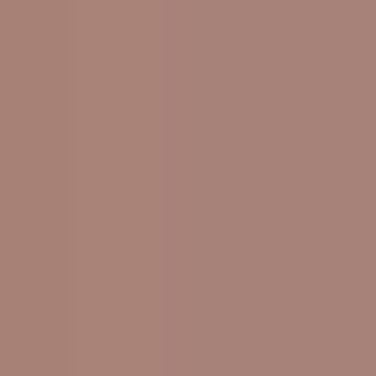 Watson Bowman Acme SWS-200 Wabo Seismic WeatherSeal — WBAWSWS200AT