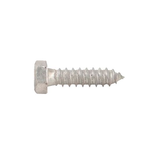 Fastenal 1/4" x 3" Galvanized Lag Bolt
