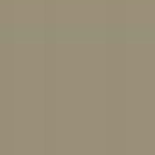 Ply Gem 10' Outside Corner Post - Woodgrain/Smooth — PLG0CPSWG100