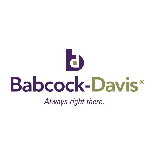 Babcock-Davis Hatchways 30" x 72" Galvanized Roof Hatch
