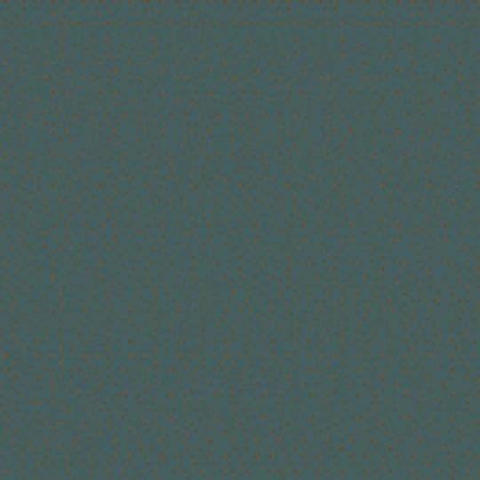 Everlast Roofing 26 Gauge x 24" Painted Coil — EVLC26IV24