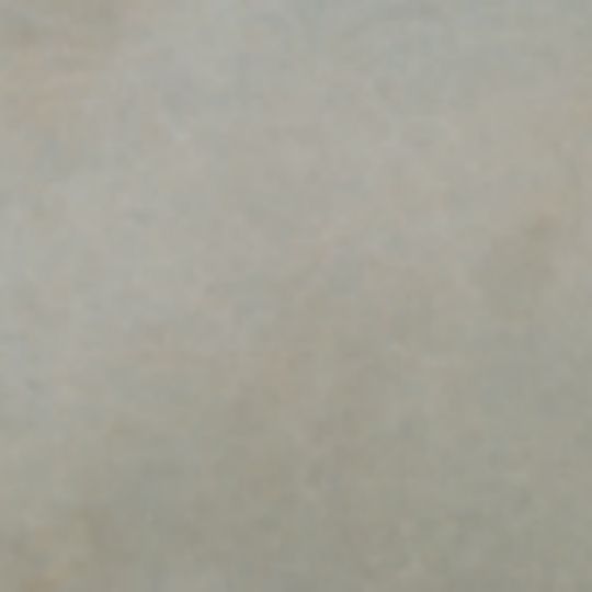 Westcoat SC-36 Fast Stain - 1/2 Pint Can — Commercial Accessories — WCSSC36563128
