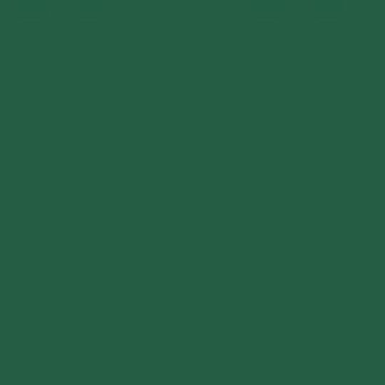 Coastal Metal Service 16" LT-100 Panel — Metal Roofing — CLT16HG