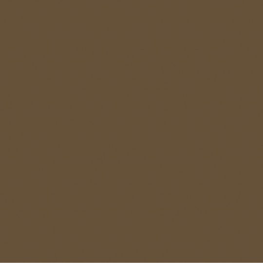 TRI-BUILT Roof Accessory Spray Paint — Roofing Accessories — TRISPCD