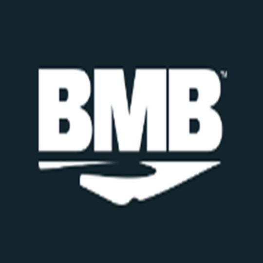 BMB Distributions Round Top Nails 50lb Box