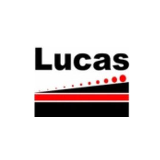 Lucas Specialty Rock Lsr Perlite A2 0.25"-1.25" 2X4