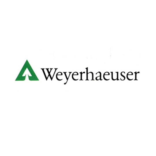 Weyerhaeuser 1 x 6 Pine Board