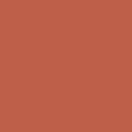 Aervoe Industries Roof Accessory & Trim Paint - 16 Oz. Can — AVICSPCE