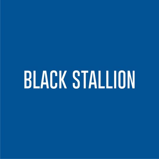 Black Stallion Large Fuzzy Hand Max2 Pigskin Water Resistant Glove - Pair