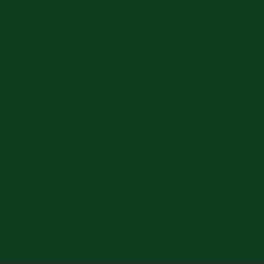 Central States Manufacturing 29 Gauge x 10'6" Panel-Loc Plus Ridge Cap — Metal Roofing — CESRCPDGR