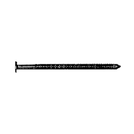 Steel & Wire 1-3/4" (5d) Stainless Steel Ring Shank Siding Nails - 5 Lb. Box