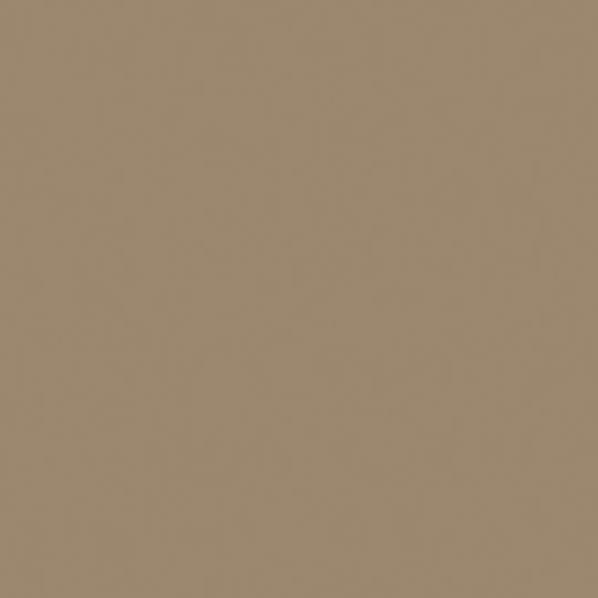 Mastic #15 x 1-1/4" Stainless Steel Trim Nail - 1 Lb. Carton — ACOTN1250100