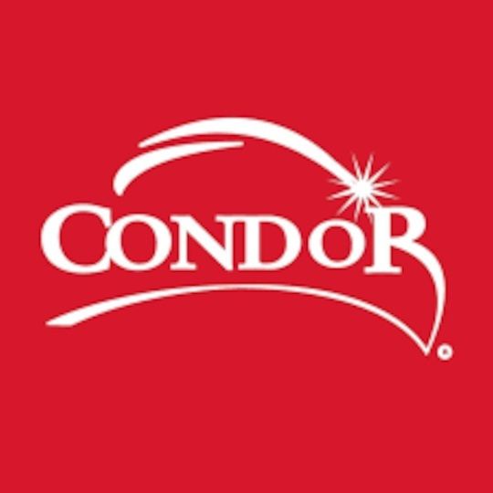 Condor Chimiques Thir-O-Sec Absorbent particles for dry repair 600g