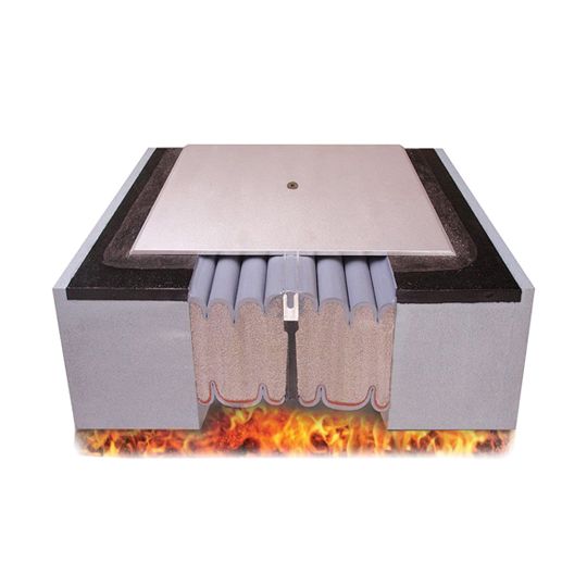 Emseal 2" SJS-FR2 Expansion Joint with Cover Plate