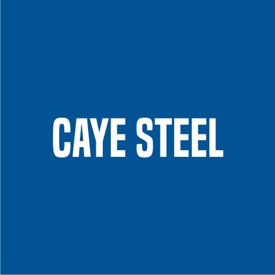 Caye Steel 6 x 6 x 10 x 10 Concrete Mesh