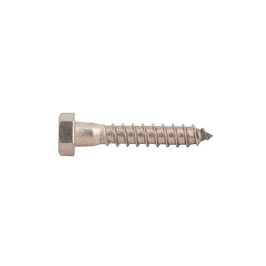 Fastenal 5/16" x 6" Stainless Steel Hex Head Lag Bolt