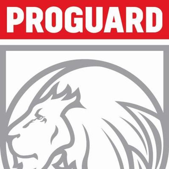 Proguard Group Steel Squeegee Rake