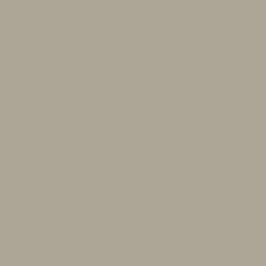 Senox Corporation Spray-On Touch-Up Paint — SNX582160008