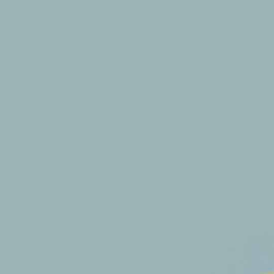 Ply Gem Triple 4" Premium Soffit Solid Non-Ventilated Vinyl Panel — CEWVST4NN1