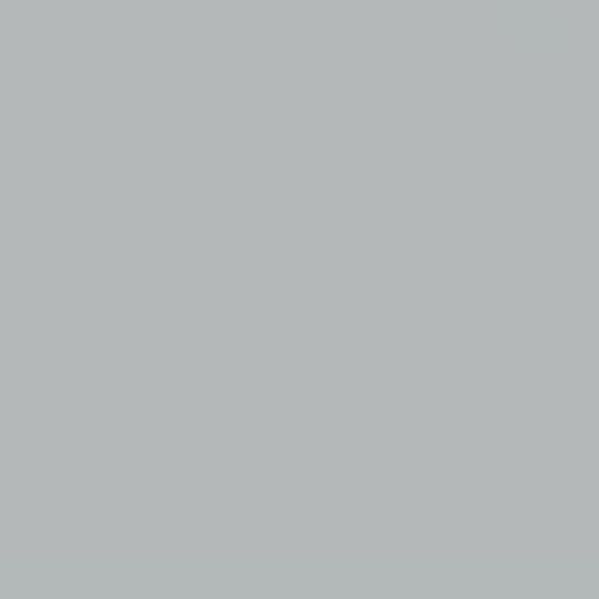 Appleton Supply 2-5/8" x 1-1/2" x 10' Aluminum "D" Edging with Hem — APLDDAHGR26215
