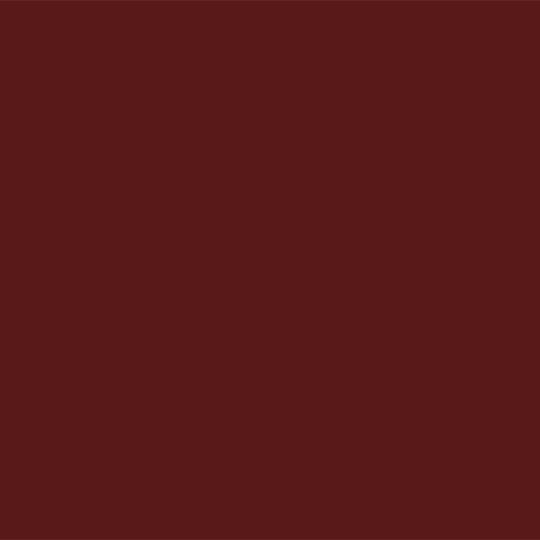 Quality Edge 10" x 12' TruLine HP-Series Double 5" Solid Aluminum Soffit — QEDD5SS604