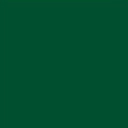 Novagard Novaflex Metal Roof Sealant — NOVMRSMR169GR
