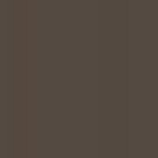 Ply Gem 10' Outside Corner Post - Woodgrain/Smooth — PLG0CPSWG59