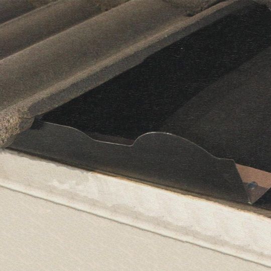 Eagle Roofing Products Malibu Regular Bird Stop