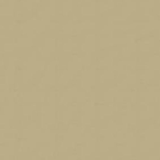 Allura 5/16" x 4' x 10' Smooth Vertical Panel — WBFCMVSS410LI
