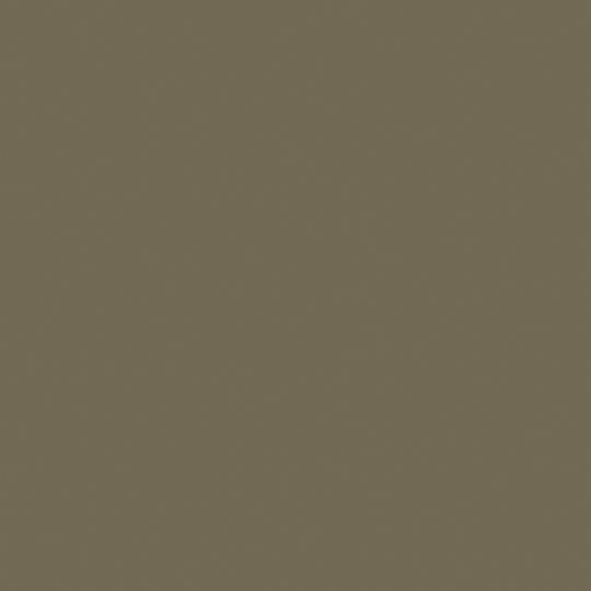 Mastic #15 x 1-1/4" Stainless Steel Trim Nail - 1 Lb. Carton — ACOTN125034