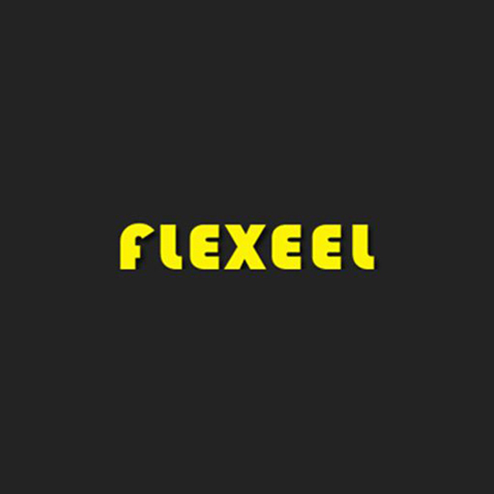Flexeel 1/4" x 50' Reinforced Air Hose