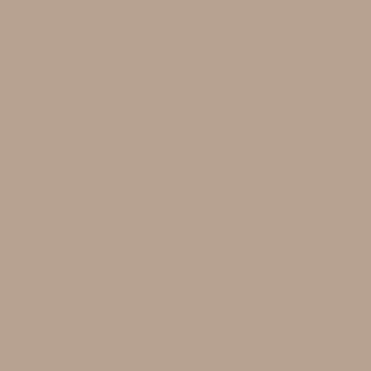 Chem Link TileSecure Roof Tile Adhesive and Sealant - 10.1 Oz. Tube — CHLTILEADHTA