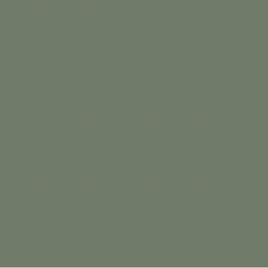 TRI-BUILT Roof Accessory Spray Paint — Roofing Accessories — TRISPGR