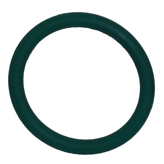 Albion Dispensing Solutions O-Ring Replacement for 645-G05 Manifold