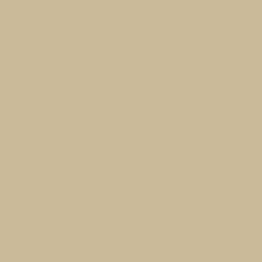Coastal Metal Service Inside Corner — Metal Roofing — CICST