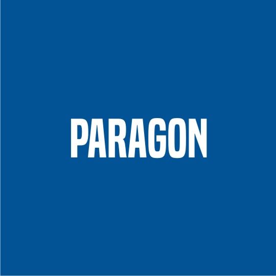 Paragon 15600 Mortar Mix Type-S