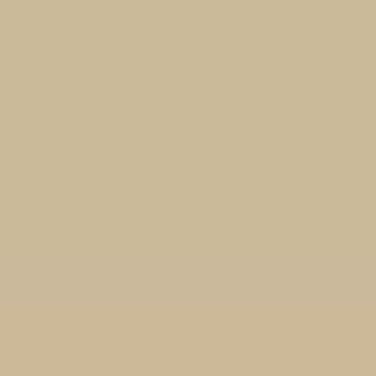 Coastal Metal Service 26 Gauge Classic End Wall Trim — Metal Roofing — CCEWT26ST