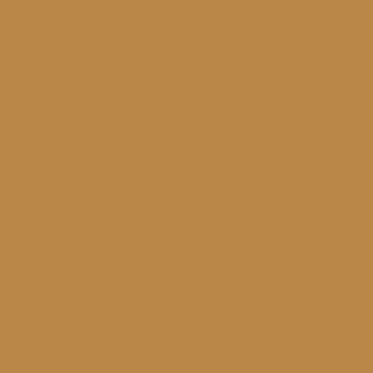Coastal Metal Service SS-150 Panel 24guage Steel — Metal Roofing — CSS150S24CC