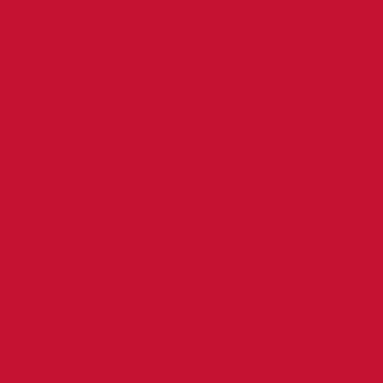 Coastal Metal Service 3/4" Tek Screw — SS34RR