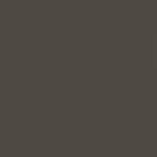 Geocel 4350 Hybrid Metal Roof & Siding Construction Sealant - 10 Fl. Oz Tube — GEO4350CSBS