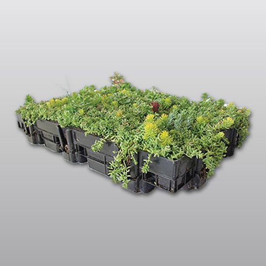 Carlisle SynTec Hydropack Pre-Grown Tray