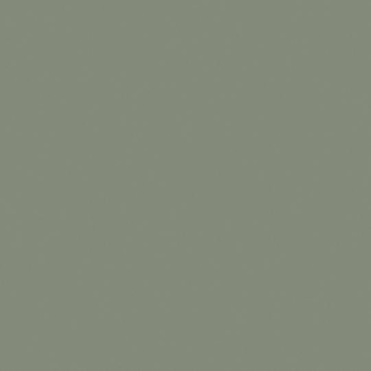 Mastic #15 x 1-1/4" Stainless Steel Trim Nail - 1 Lb. Carton — ACOTN1250170