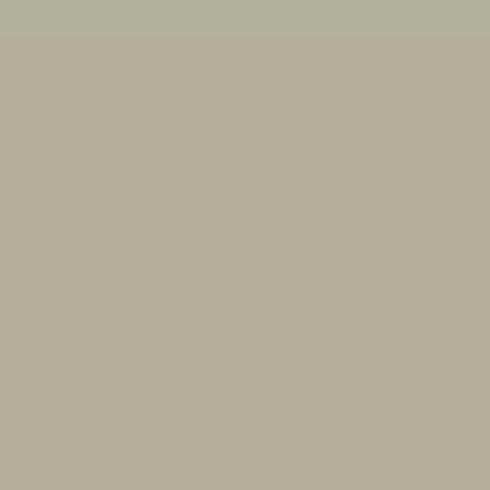 Watson Bowman Acme SWS-200 Wabo Seismic WeatherSeal — WBAWSWS200NS