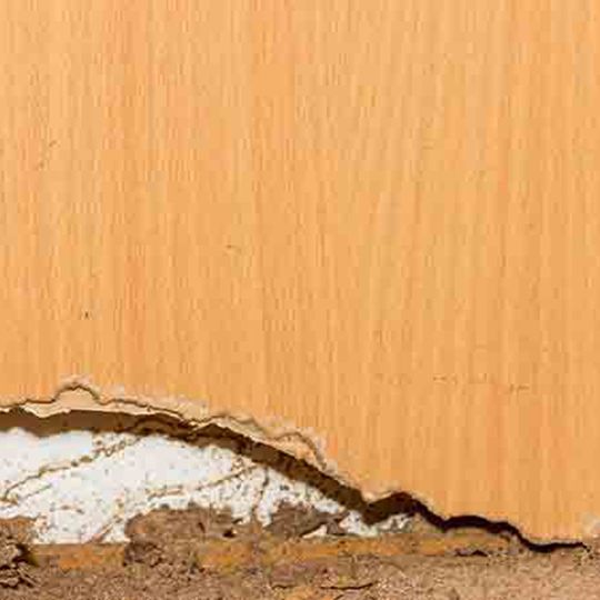 Fiberlite Technologies InCide Pest Control Cellulose Insulation