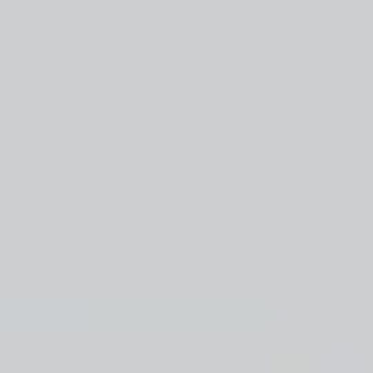 Appleton Supply 20" x 10' Steel W-Valley — APLWVSHRGY20