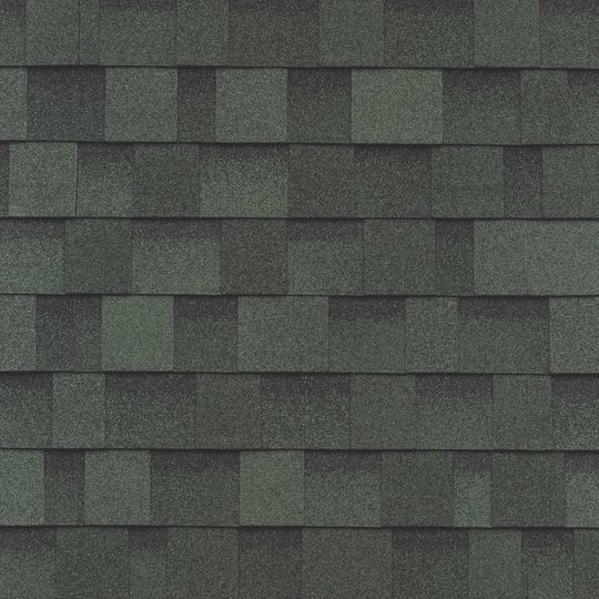 IKO Dynasty Performance Shingles with ArmourZone — IKODYNEG