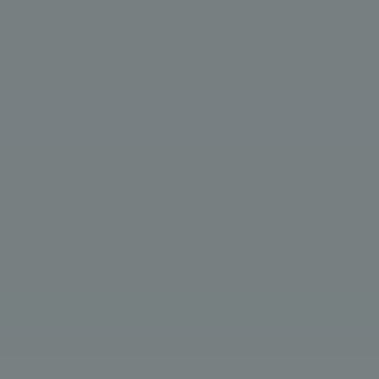 Pecora-Deck 806 Top Coat - 5 Gallon Pail — Roofing Accessories — PECTC806CG