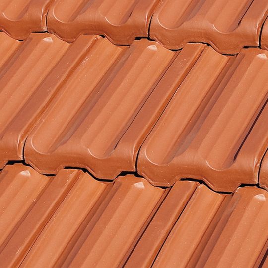 Ludowici French Field Tile